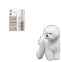 Bichon Tpl Sticker by KIKA Lietuva