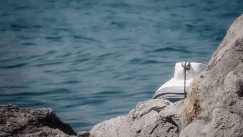 Bbc Iplayer Reality Tv GIF by BBC Three