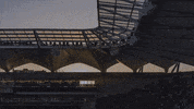 commbankstadium  GIF