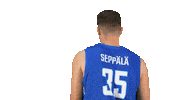 National Team Sport Sticker by Basket_fi