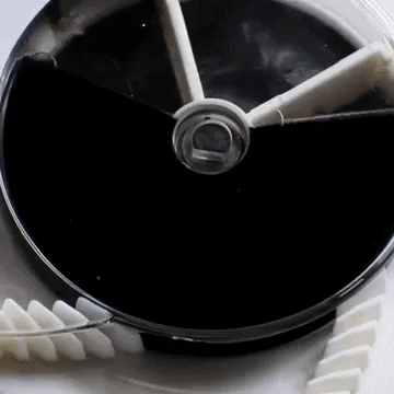 anthonyperronnet giphygifmaker GIF