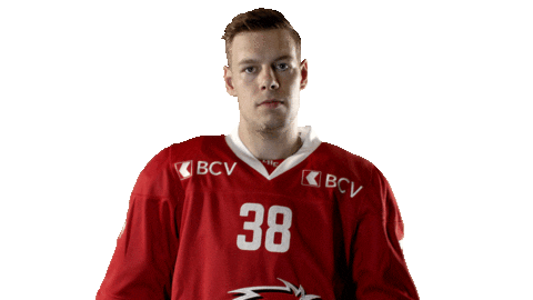 Lhc Lausannehc Sticker by Lausanne Hockey Club