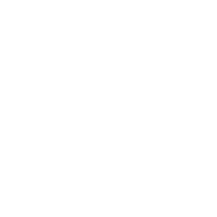 asvdizkartes 21 groningen groen diz Sticker