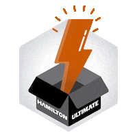 hamiltonargentina hamilton arg Sticker