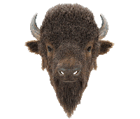 Robots Bison Sticker by Woodblock