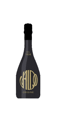 Valdo_Spumanti wine bottle prosecco sparkling wine Sticker