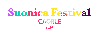 Suonicafestival Sticker by Suonica