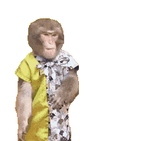 Fun Applause Sticker