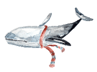 Whale Oceanlover Sticker by gretasschwester