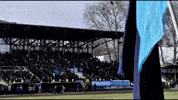 Fans Qpr GIF
