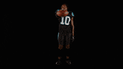 Curtis Samuel Football GIF by Carolina Panthers