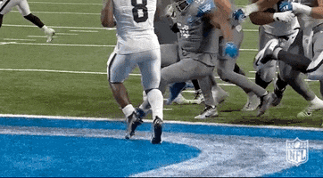 National Football League GIF by NFL