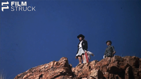nicolas roeg walkabout GIF by FilmStruck