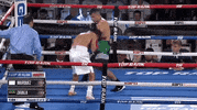 toprank fight boxing fighting espn GIF