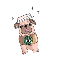 happy fun Sticker by Ivo Adventures