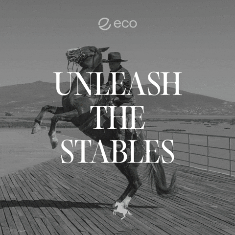 To The Moon Crypto GIF by Eco