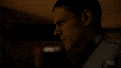 michael scofield fox GIF by Prison Break
