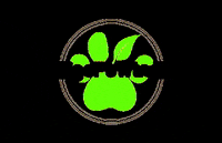 VigoPawtner vigopawtner GIF