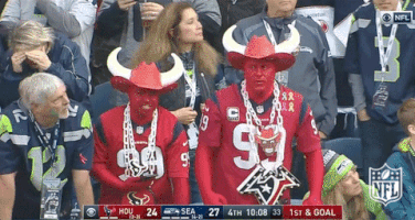 houston texans football GIF by NFL