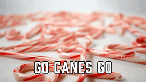 Carolina Hurricanes Sport GIF by Sealed With A GIF