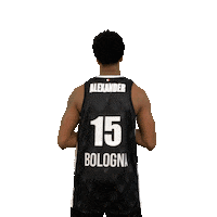 Alexander Pallacanestro Sticker by Virtus Segafredo Bologna
