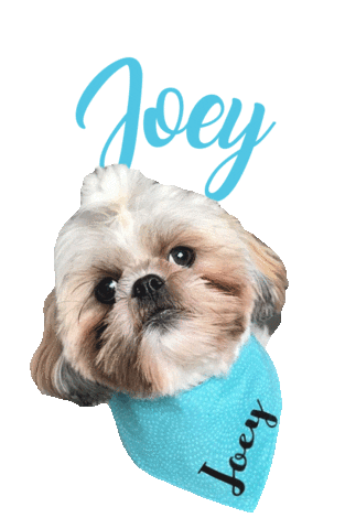 Dog Joey Sticker