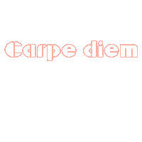 chasingcarpediem travel holiday airplane roadtrip Sticker