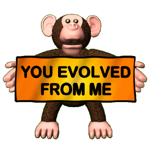Evolution Funny Monkey Sticker
