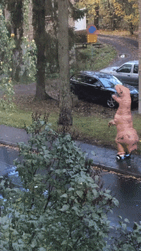Costume GIF by JustViral.Net