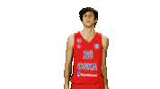 Cskabasket Sticker by CSKA Moscow