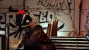 Dibujo Pico GIF