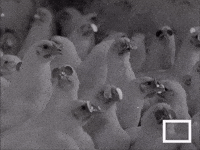 Glasses Coop GIF by Beeld en Geluid