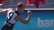 Robbie Gray Football GIF by Port Adelaide FC