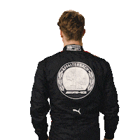 mercedesamgmotorsport amg gt3 mercedesamg amggt3 Sticker