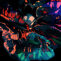 VeletaStudioLab veletastudiolab GIF