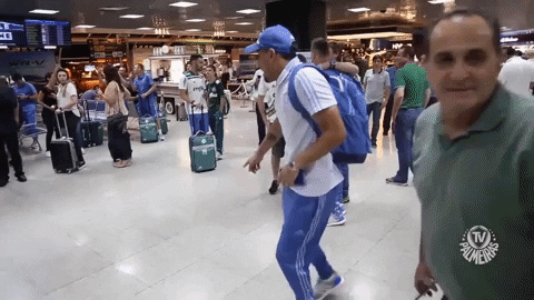 dance feliz GIF by SE Palmeiras