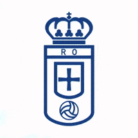 Celebration Goal GIF by Real Oviedo