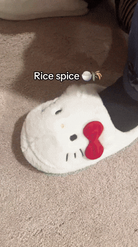 Bobby Lee Asian Dad GIF