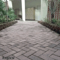 April Fools Hands GIF