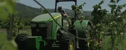 kylejaeger giphygifmaker GIF