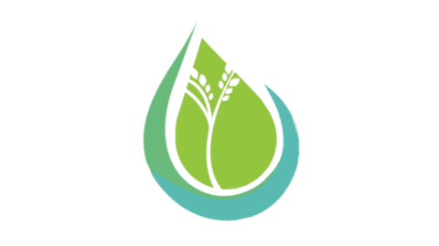Tree Sticker by TREEducation