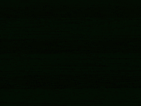 Cartoon Colors GIF