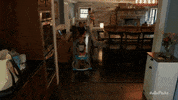 GIF by BNNVARA