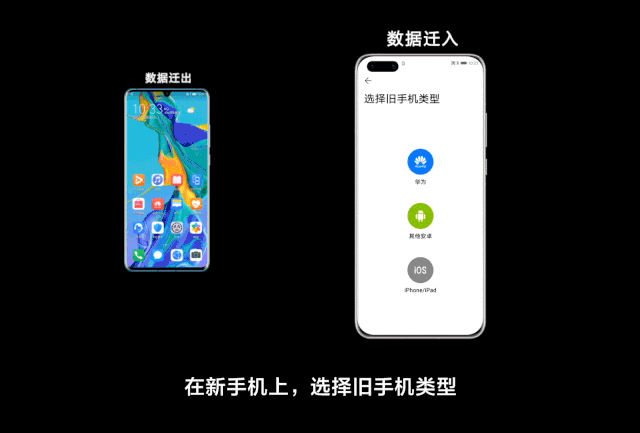 nelsonchan24 giphyupload GIF