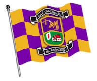 Gaa Thetoughest Sticker by AIB