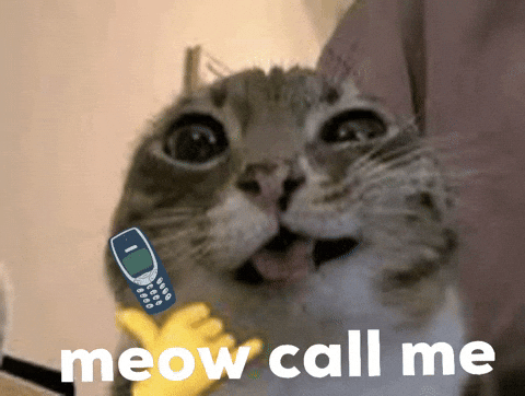 IkhtiarOp giphyattribution cat giphycreatortest cat call GIF