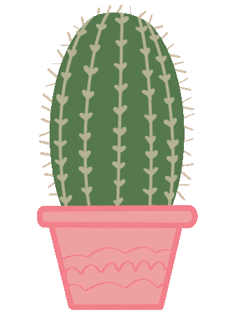 Pink Summer Sticker
