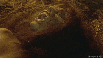 the howling horror GIF by RETRO-FIEND