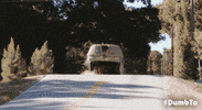 jim carrey harry GIF by Dumb and Dumber To