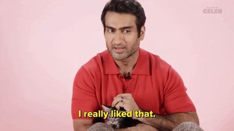 International Cat Day Kittens GIF by BuzzFeed